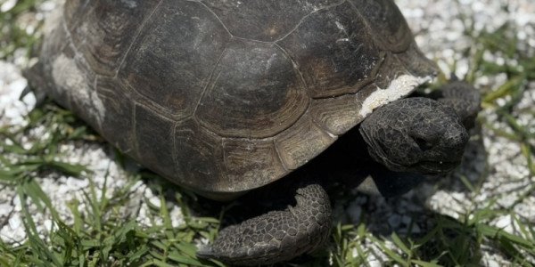 2910D659-E3F5-4EDA-8867-C49018E10DCA_1_105_c