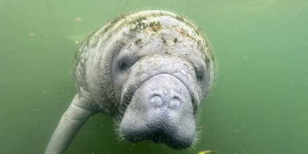 5A600448-644A-4079-8819-A5A89B1CC441_1_102_a